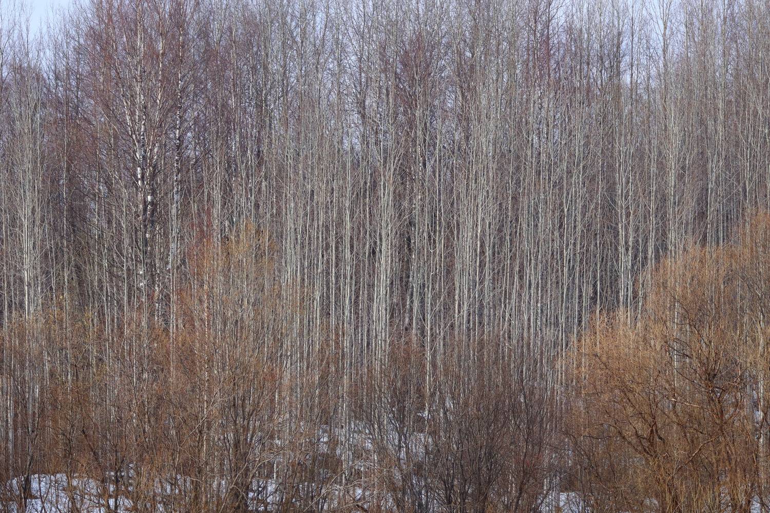 , Александр Титов