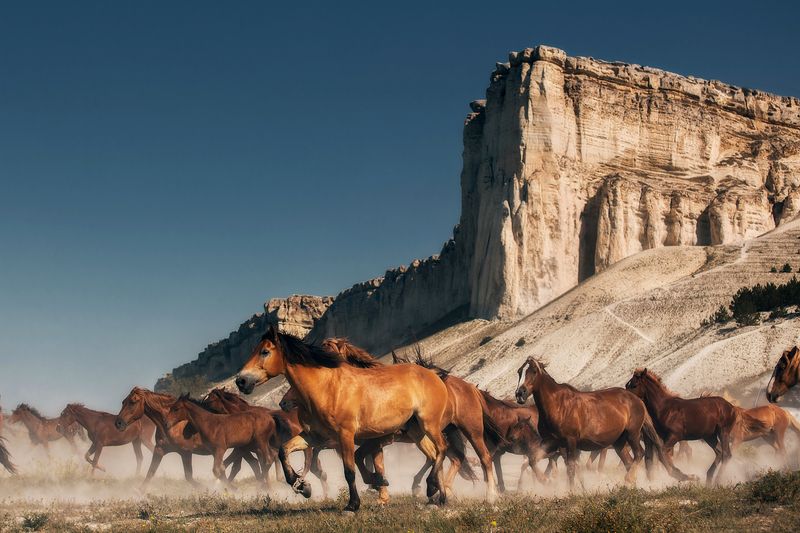 western на фоне белой скалы фото превью