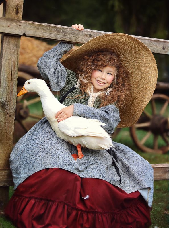 гуси, утка, деревня, портрет, лето, красивый образ София фото превью