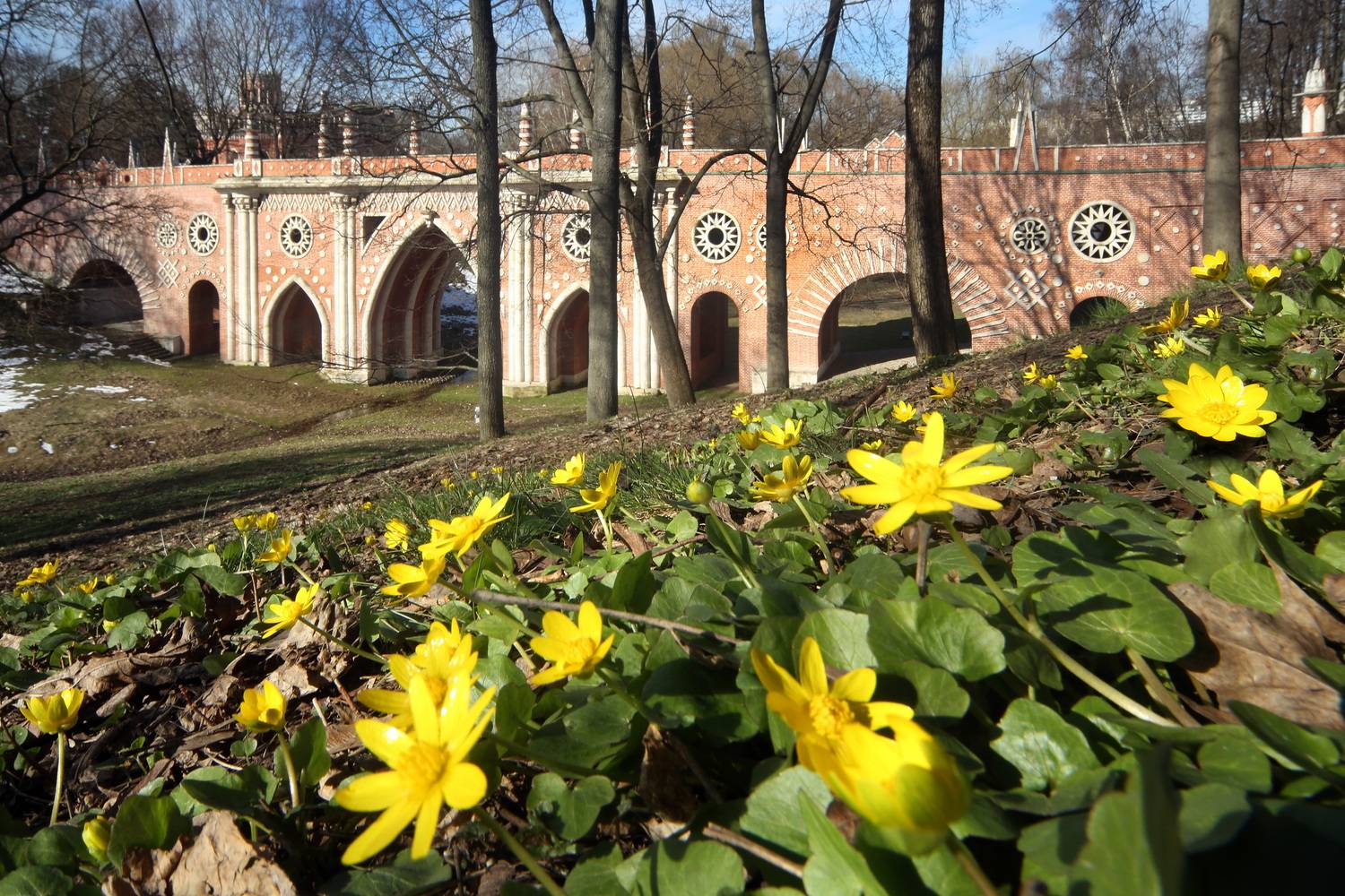 , Бибичков Михаил