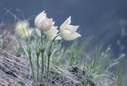 На краю скалы