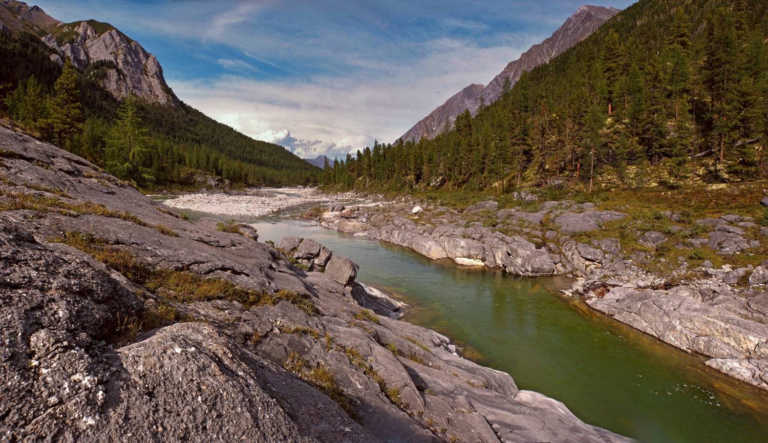 , Ленденёв Владимир