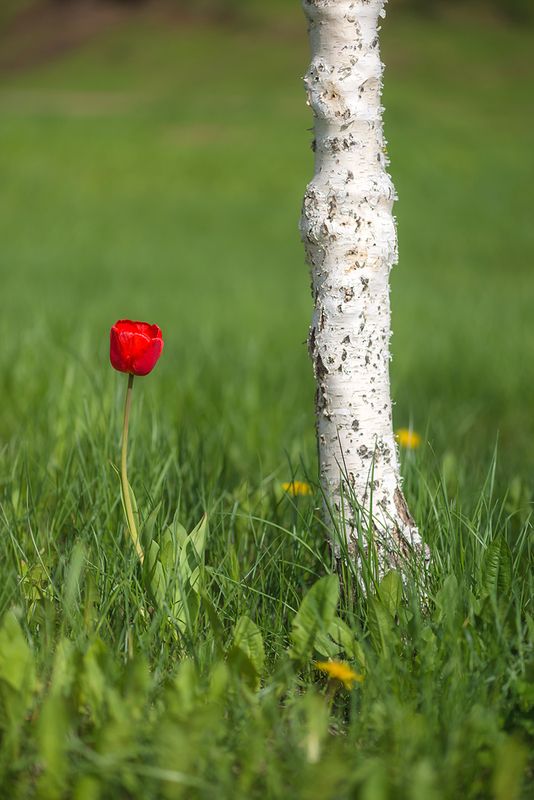 Разговор о вечном фото превью