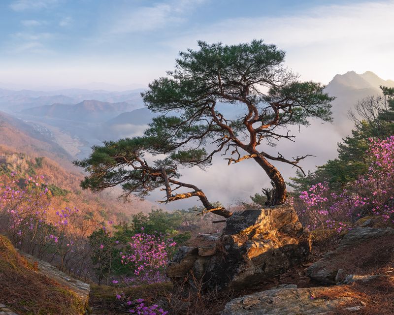 Gangseonbong on a spring day фото превью