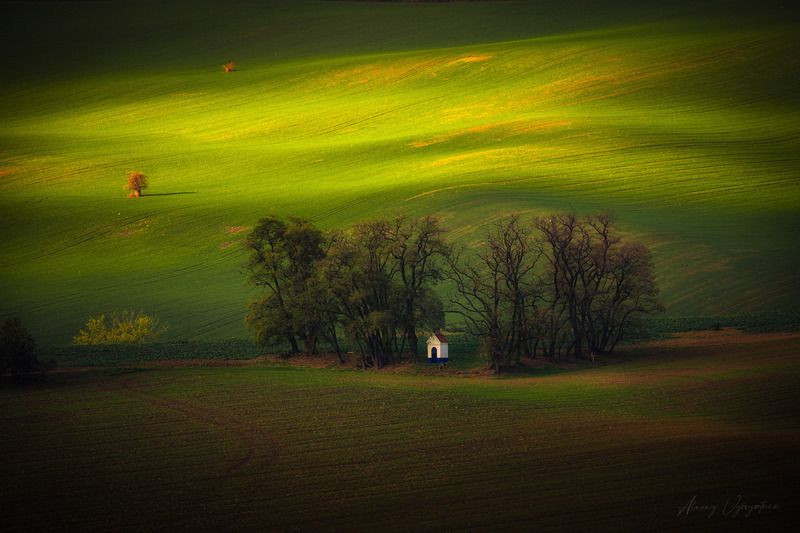 czechia, moravia, moravian, landscape, fields, green, hills, rollinghills, countryside, farmland, nature, scenic, sunlit, europe, rural, agriculture, spring, summer, panoramic, peaceful, tranquil, scenicview Spring Out of Nowhere фото превью