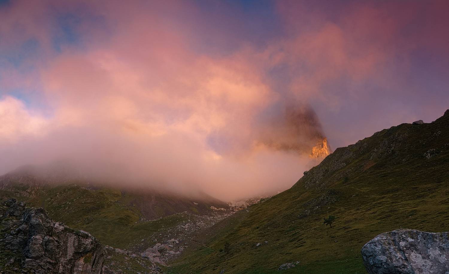 , Wojciech Tarnowski