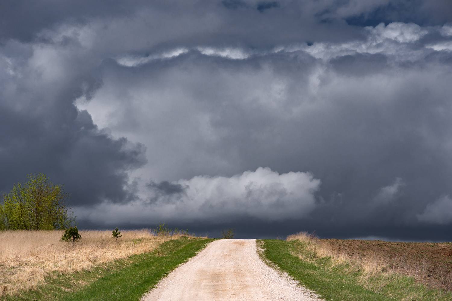 дорога поле облака небо тучи, Алексеев Дмитрий