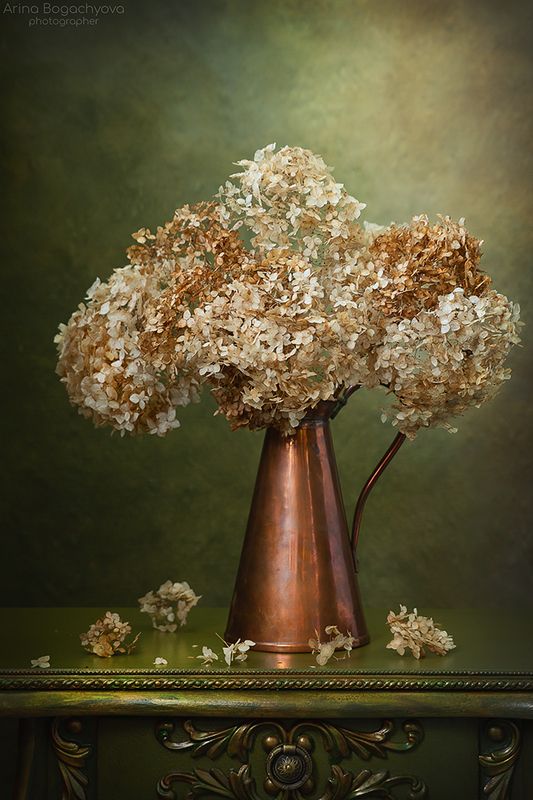 *** фото превью