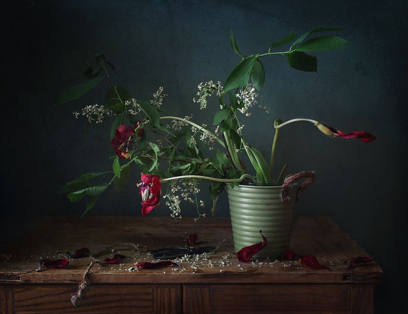 графика увядания... фото превью