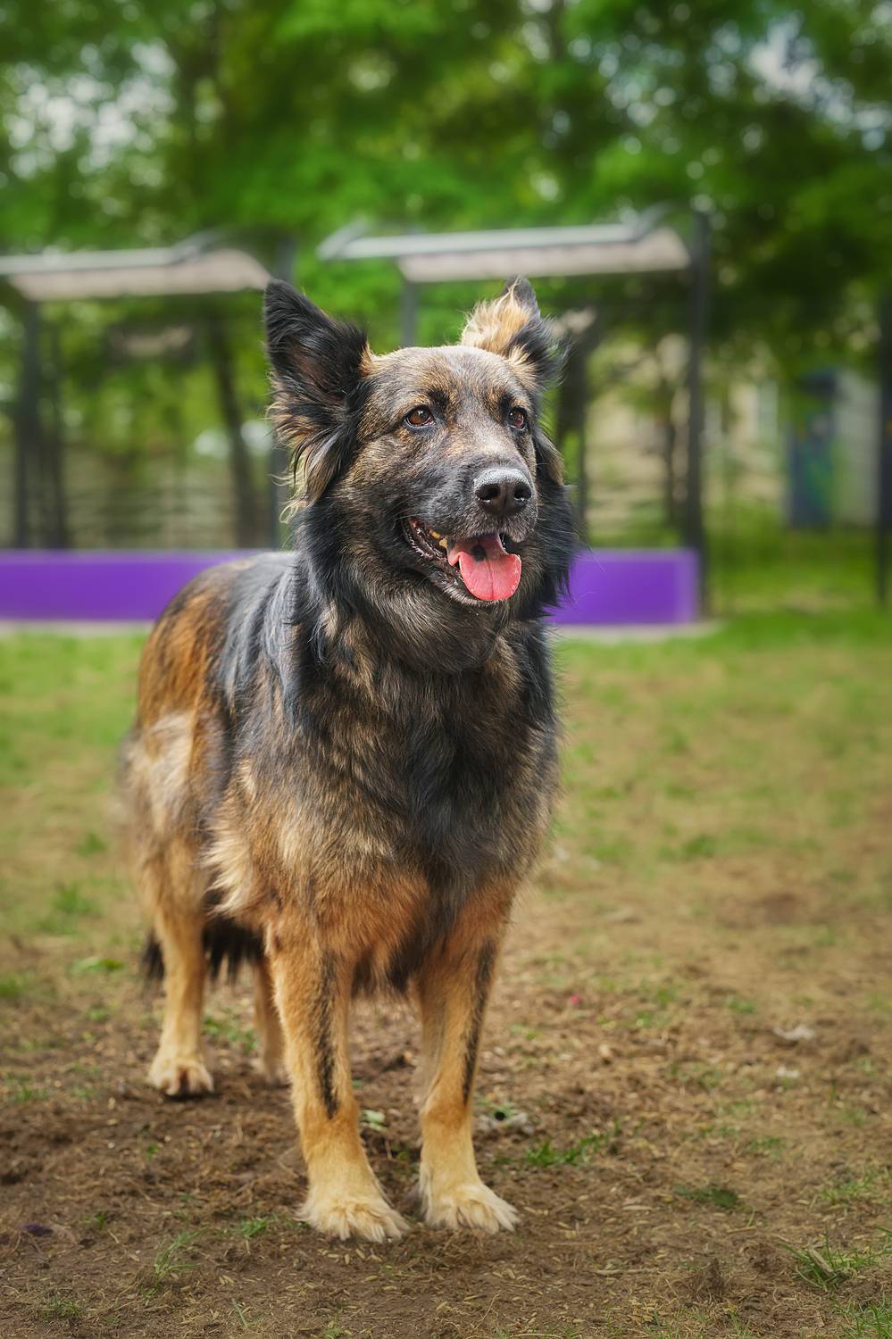 , Корнеев Алексей