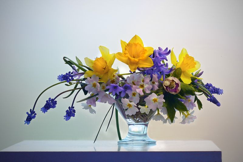 мускари нарциссы примулы морозник Апрельский микс фото превью