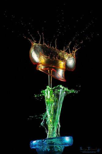 Красный кардинал