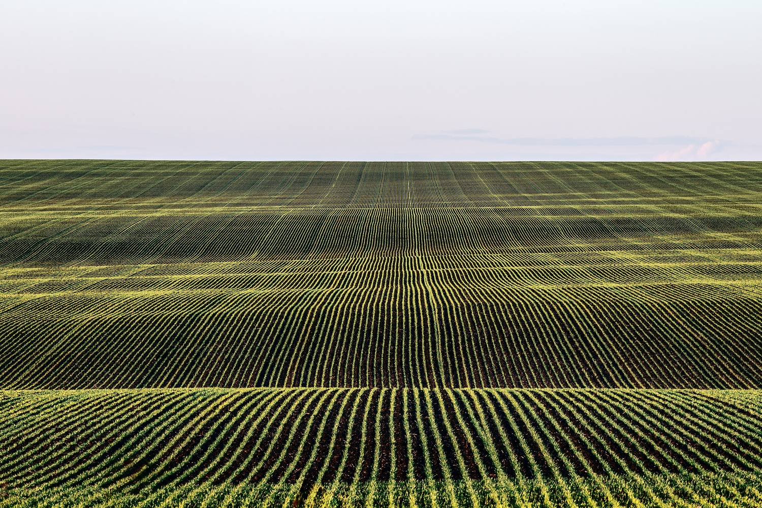 пейзаж, сельское хозяйство, поля, природа, Тульская область, просторы, красота полей, Мартыненко Дмитрий