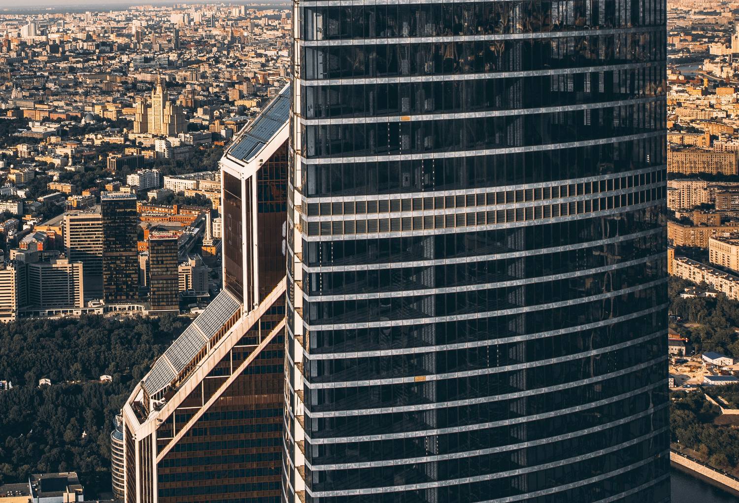 , Трепольский Дмитрий