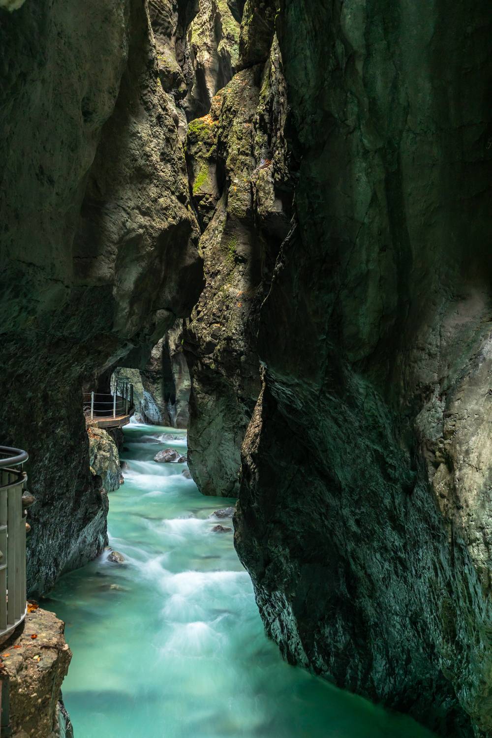 , Евгения Чех