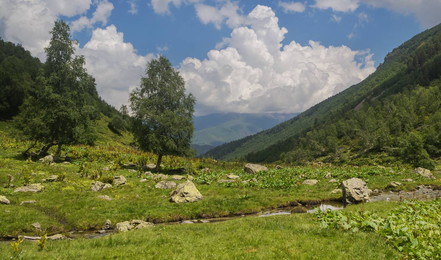 , Лысенко Сергей