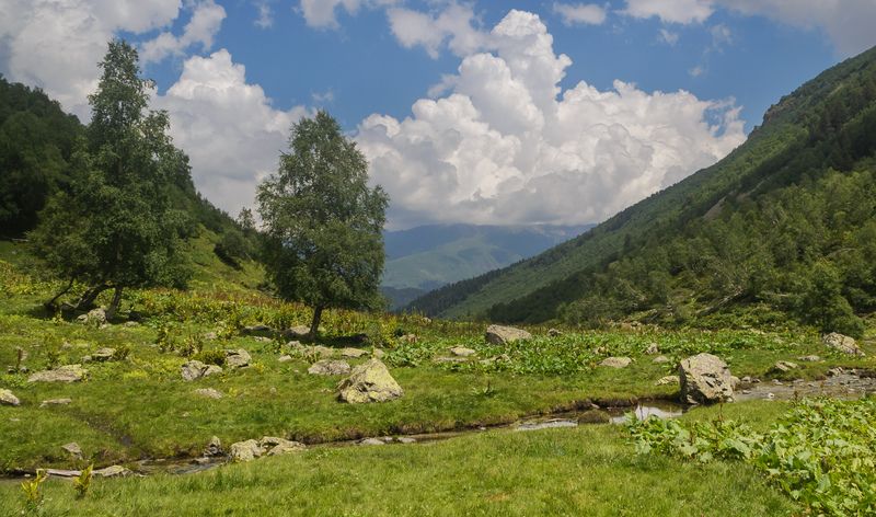 У реки. фото превью