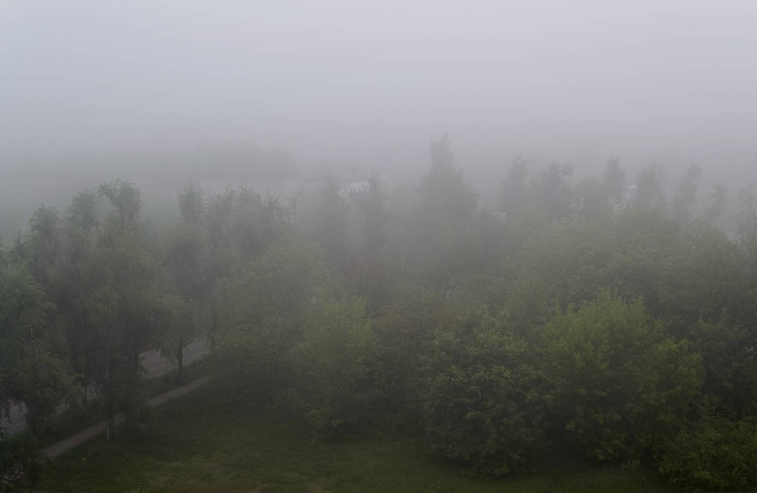 , Лысенко Сергей