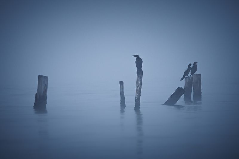 2024-10-26 фото превью