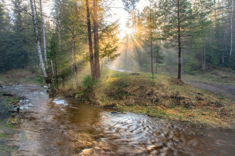 Вечерние лучи фото превью
