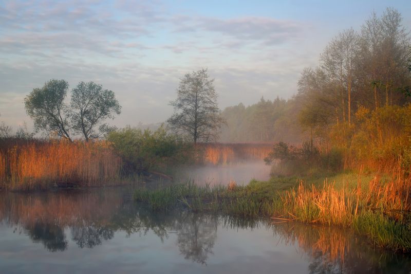 Майское утро фото превью