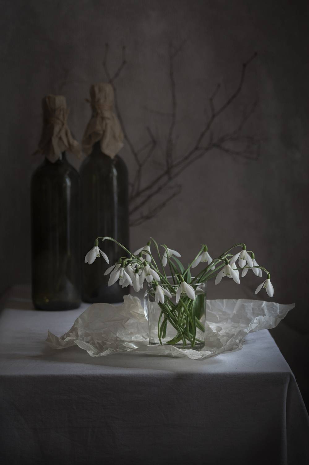 кострома,натюрморт,подснежники, Елена Рубинская