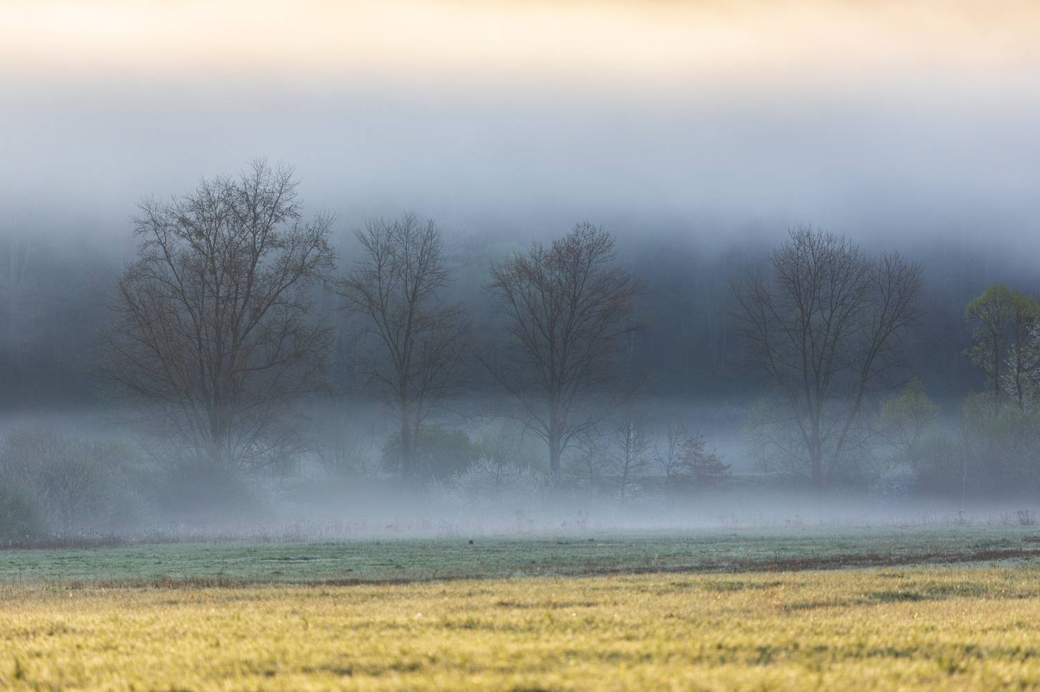 ,  Mirosław Pruchnicki
