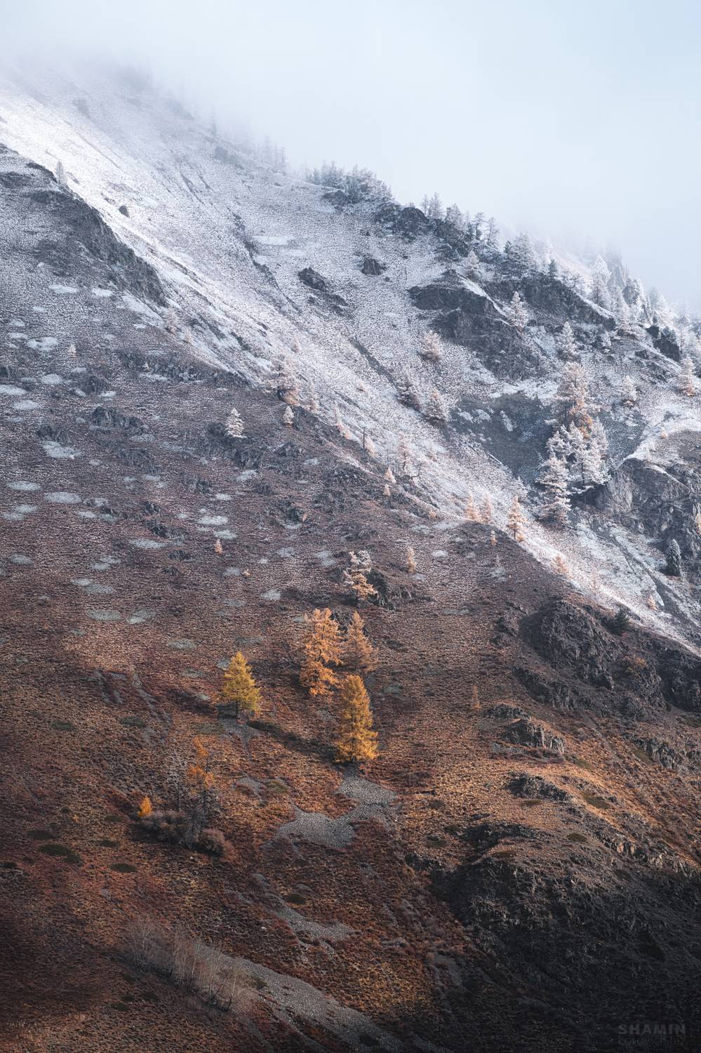 , Константин Шамин