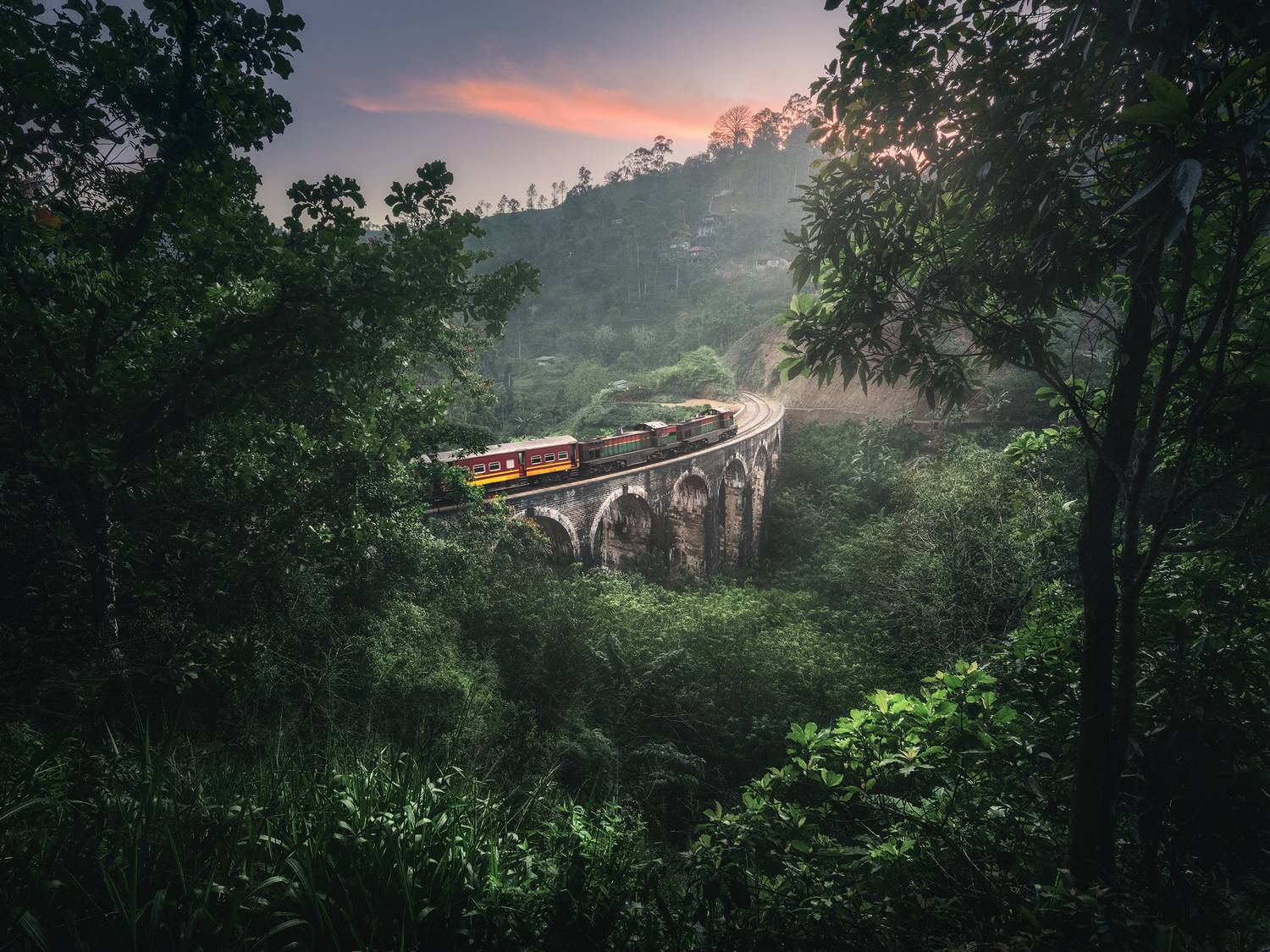 , Политова Анна