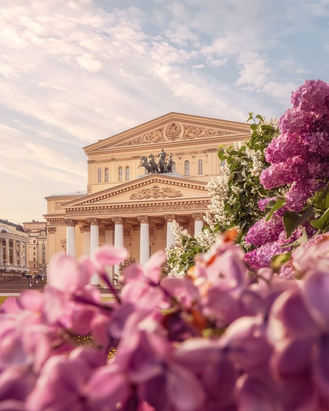 москва, весна, сирень, архитектура, большой театр, moscow, spring Большой театр фото превью