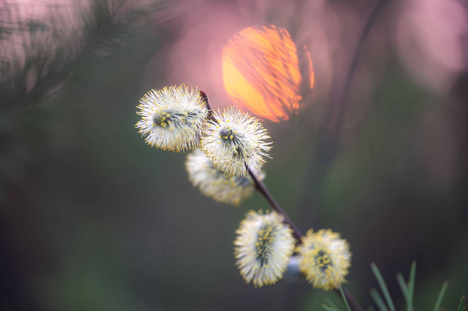 , Сергей Брагин
