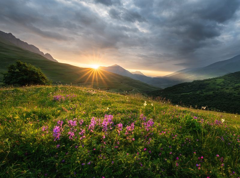 Северная Осетия. Перевал между Фиагдоном и Даргавсом. фото превью
