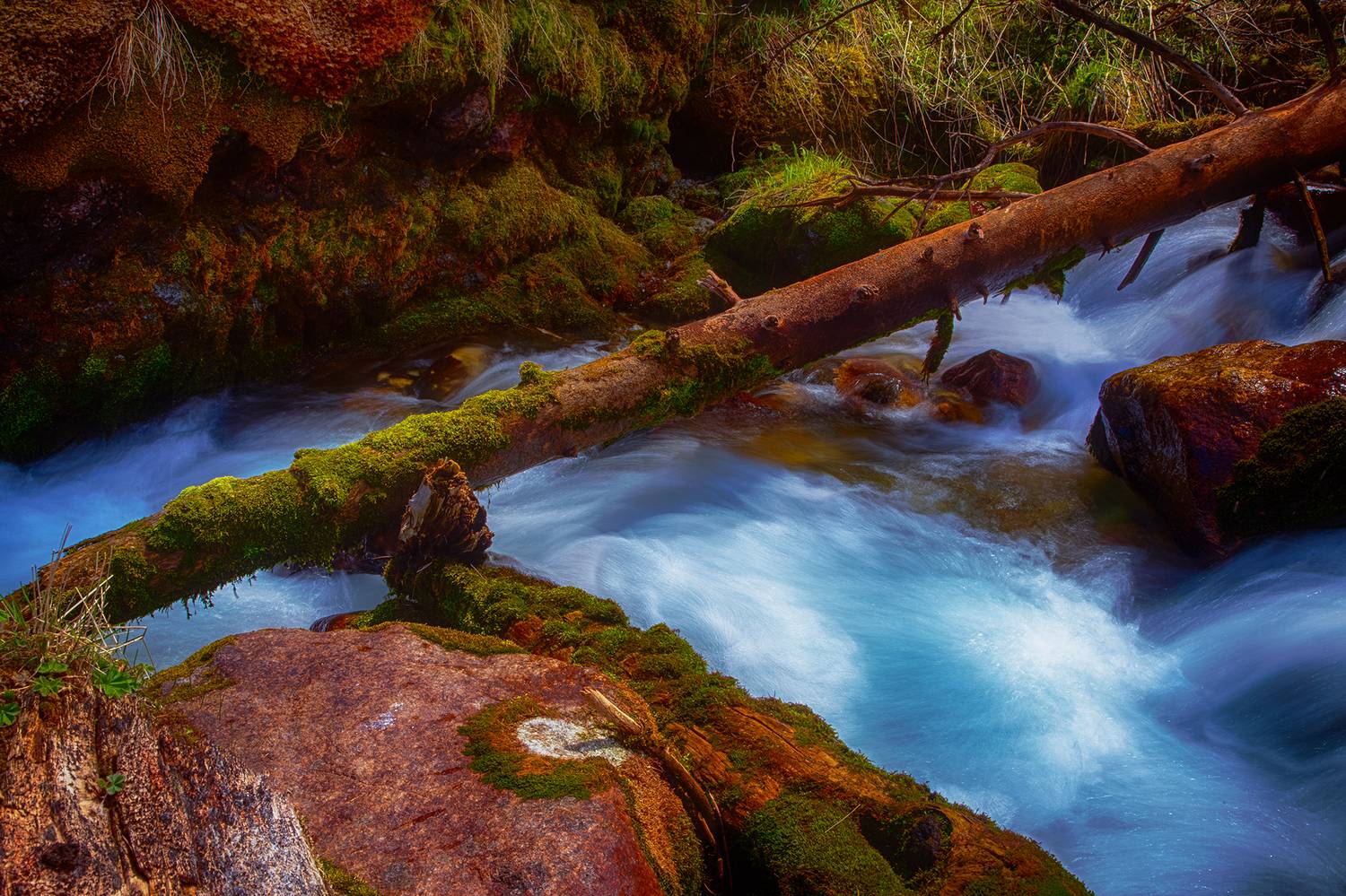 кыргызстан, туюк, Элина Магалимова