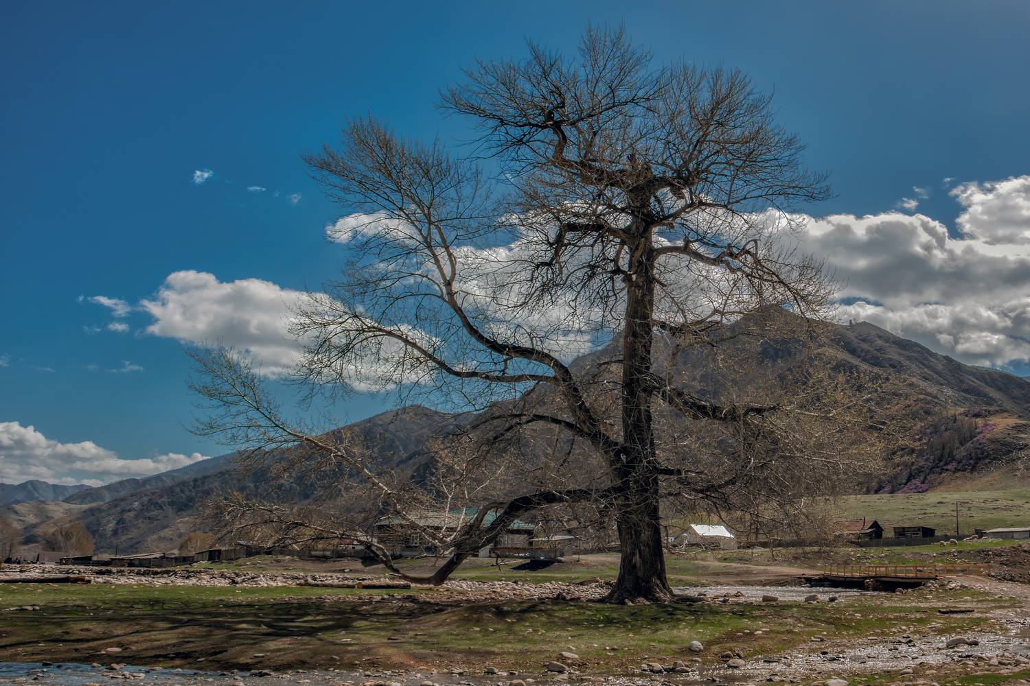 , Юдинских Марина