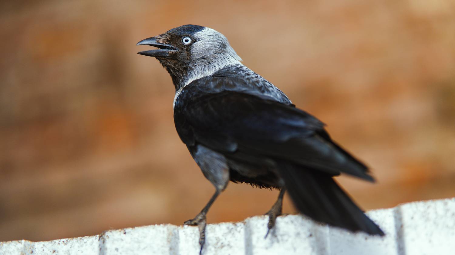 , Вертиков Юрий