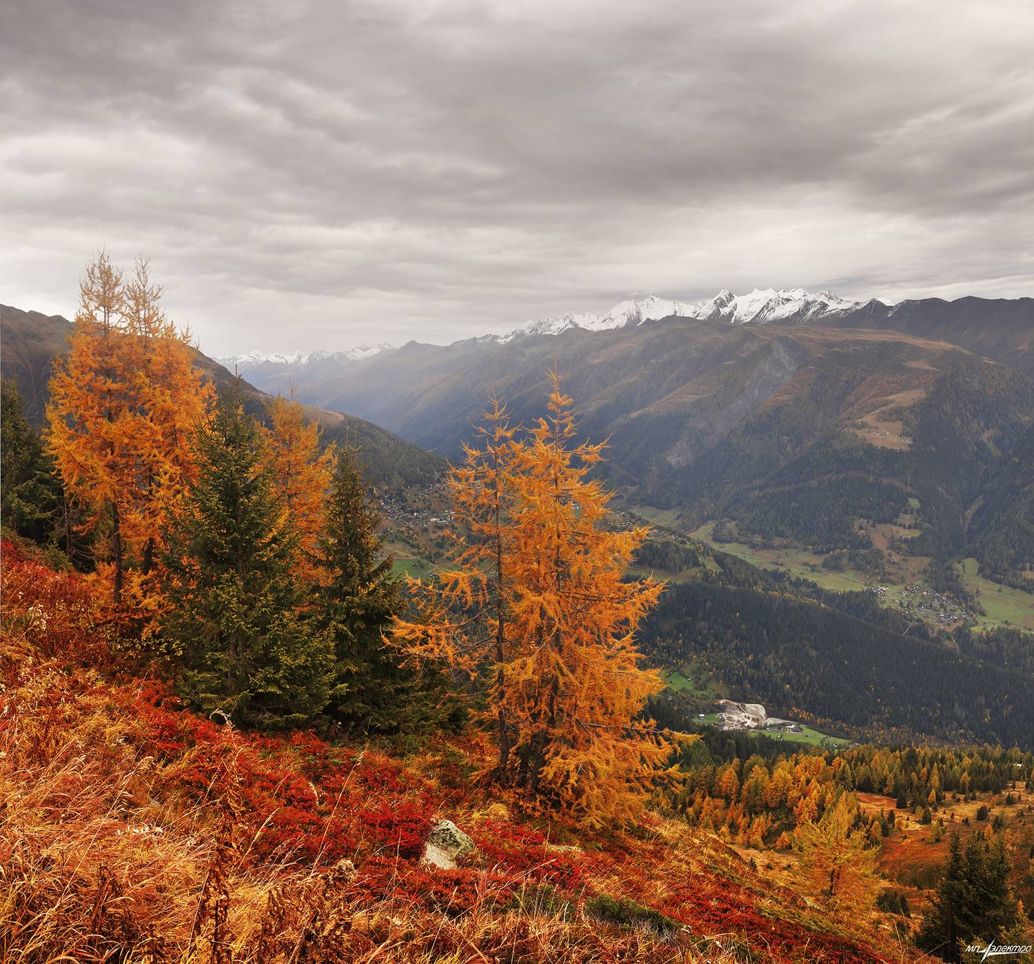 swiss, Матвеев Николай