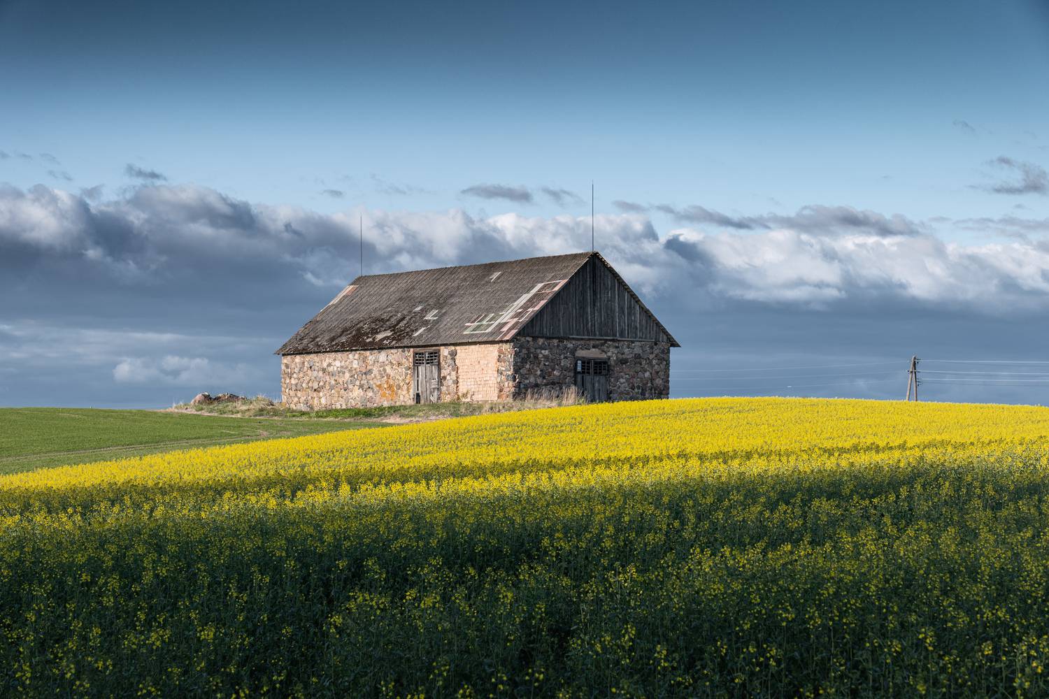 , Гордон Николай