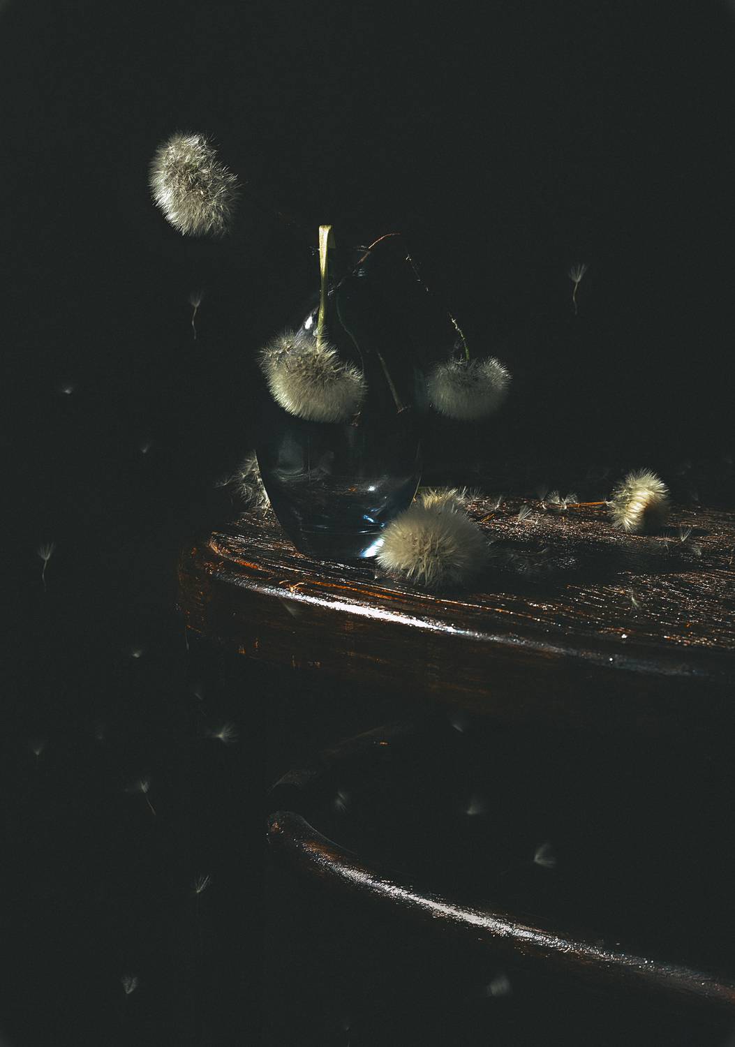 , Александра