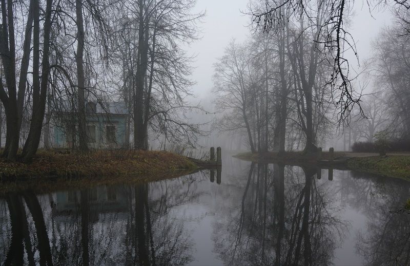 Morning  фото превью