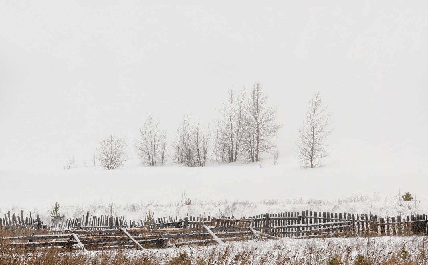 урал, россия, утро,, Евгений Гецев