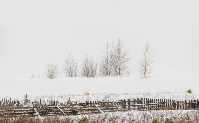 урал, россия, утро, Семейка фото превью