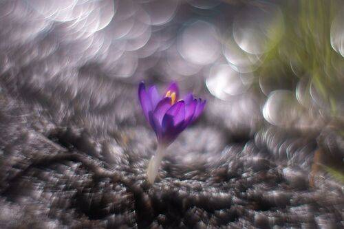 В лабиринте мартовского света.