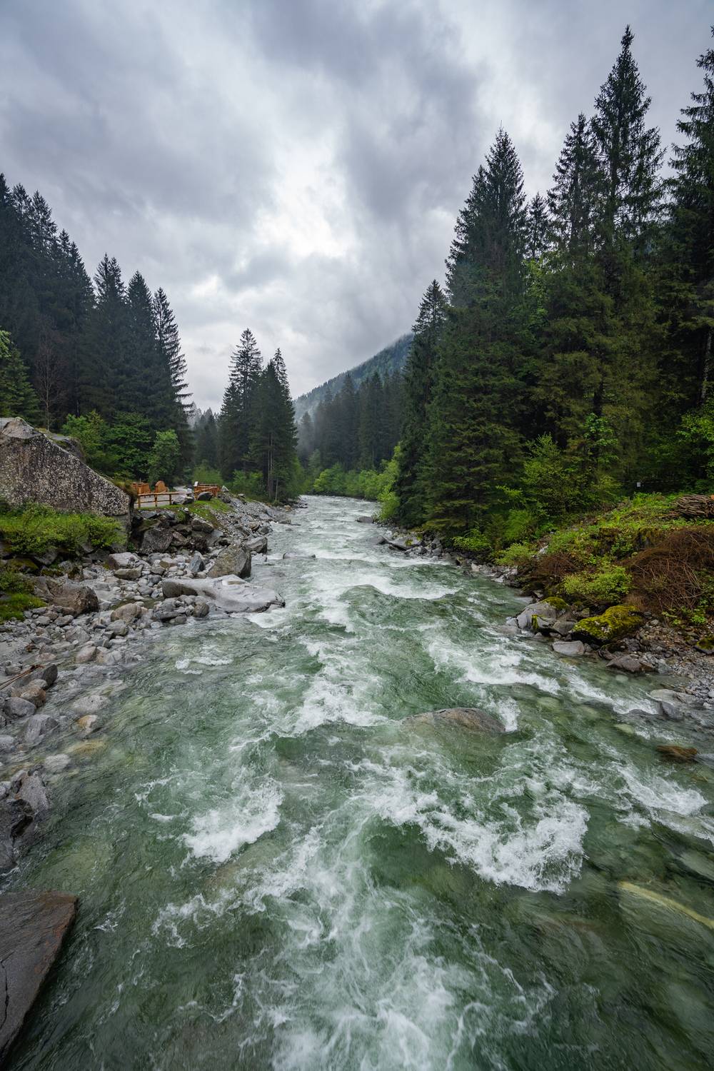 , Дария Максимова