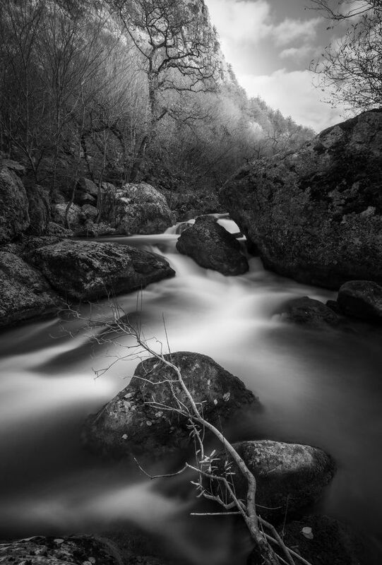 ... фото превью