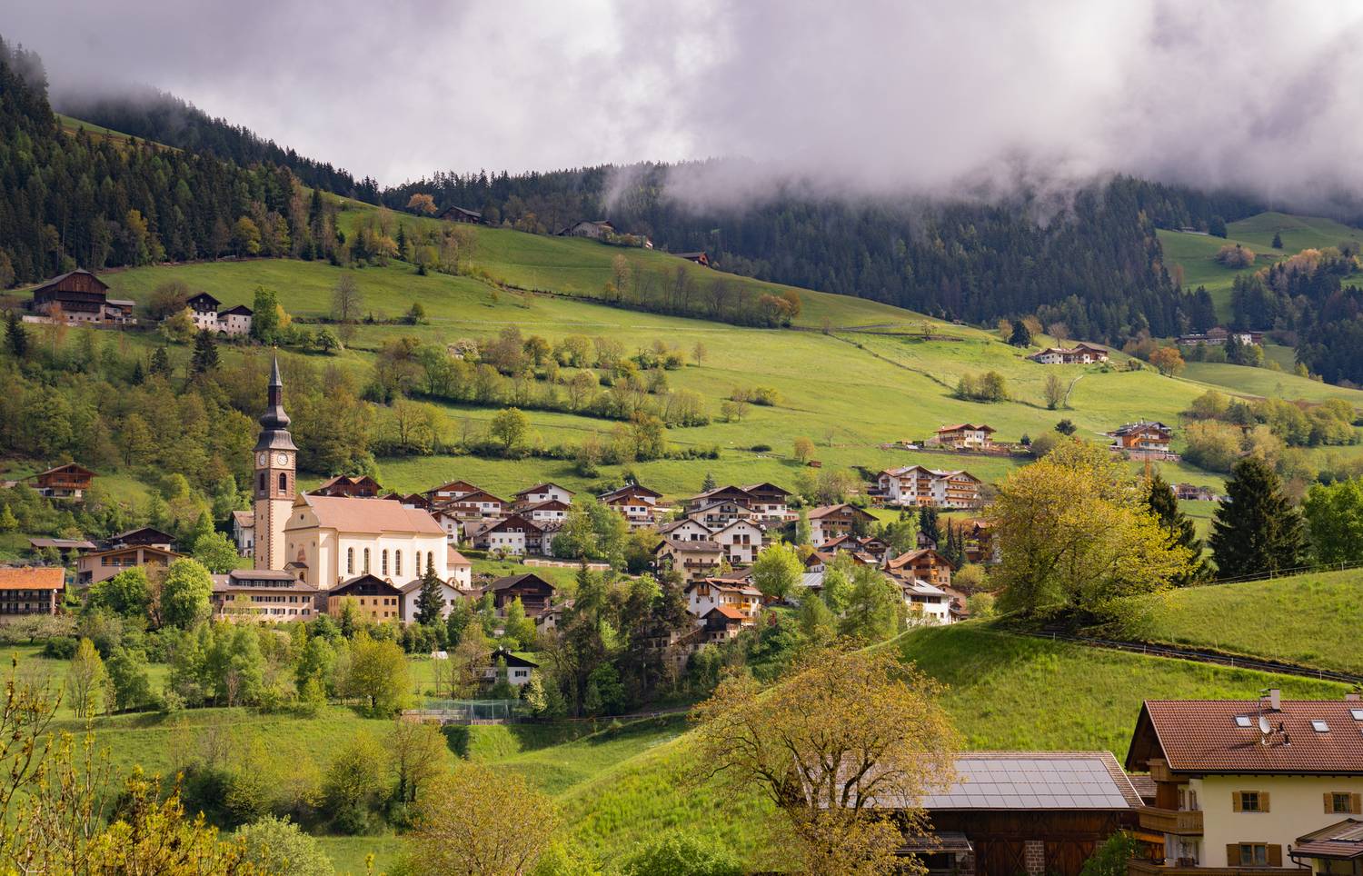 , Дария Максимова