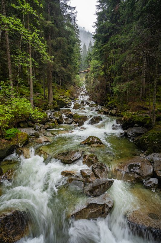 Fiume Sarca de Val Genova, Italy фото превью
