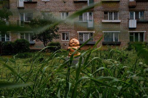 Золотой кот