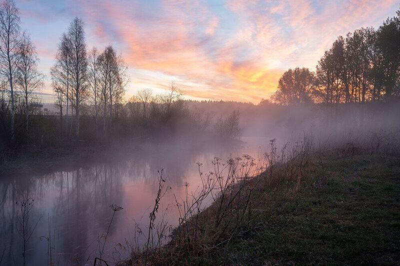утро, рассвет, туман, река, весна, пейзаж, май, трава, лес, облака Розовый туман фото превью