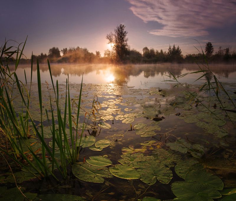 озеро, утро, сибирь, вода, свет, солнце В утреннем свете фото превью