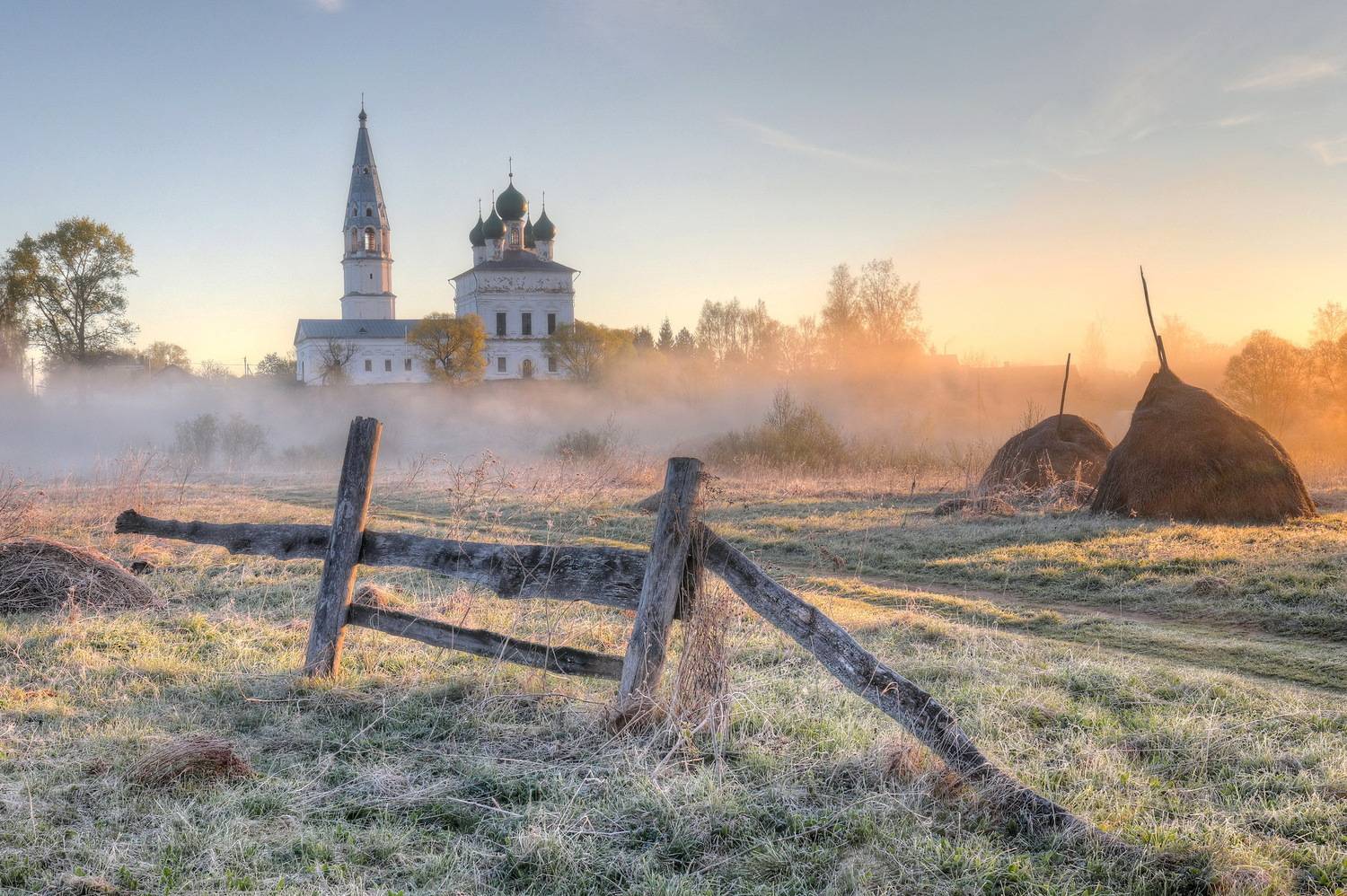 , Добролюбова Тамара